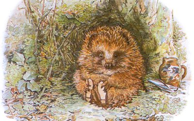 Let’s make Deddington a home for hedgehogs!