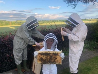 Meet The Local Business: Bee Special!