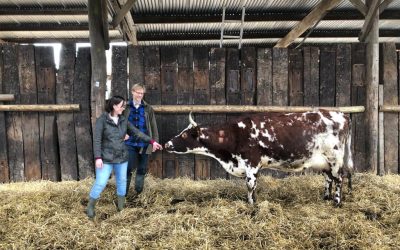Meet the local business owner….North Aston Farms & Dairy